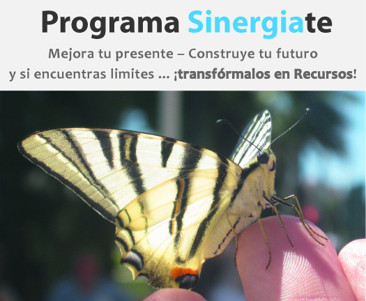DO_Sinergia Programa Sinergiate